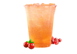 Cranberry Mule Mocktail