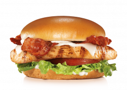 chicken sandwich bacon club sandwich